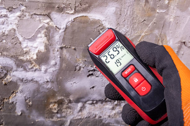 Best Local Mold Removal Service  in Fort Madison, IA
