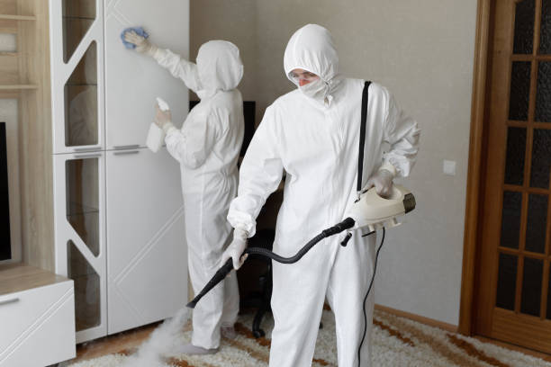 Best Residential Mold Removal  in Fort Madison, IA