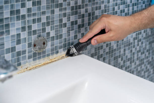 Best Black Mold Removal  in Fort Madison, IA