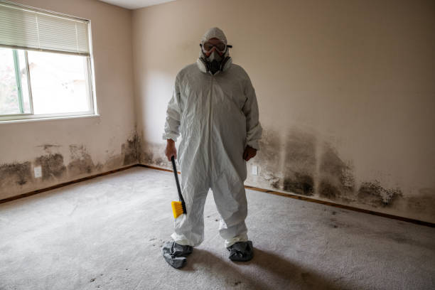 Best Mold Testing  in Fort Madison, IA